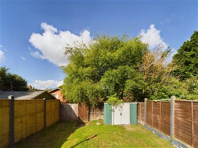 Picture 20